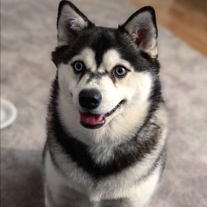 Meet your Posher, Danny